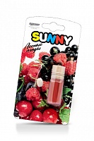Ароматизатор подвесной Sunny "Лесные ягоды" Runway RW6072